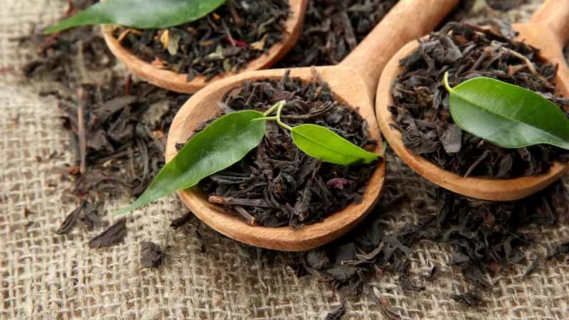 تصویر 4 از چای شمال اصل مناسب نوشیدنی اصیل ایرانی